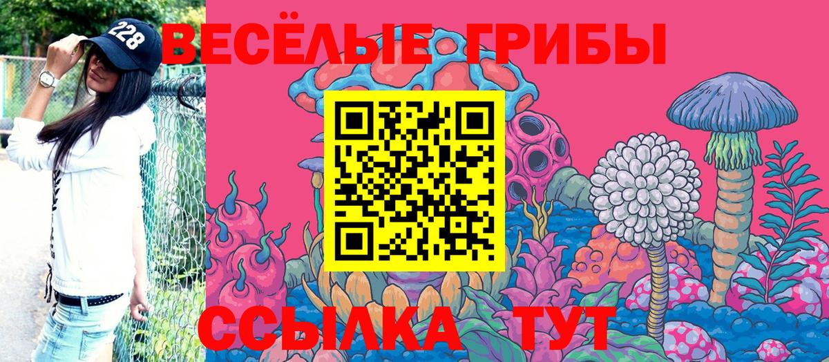 Галлюциногенные грибы Cubensis Прокопьевск