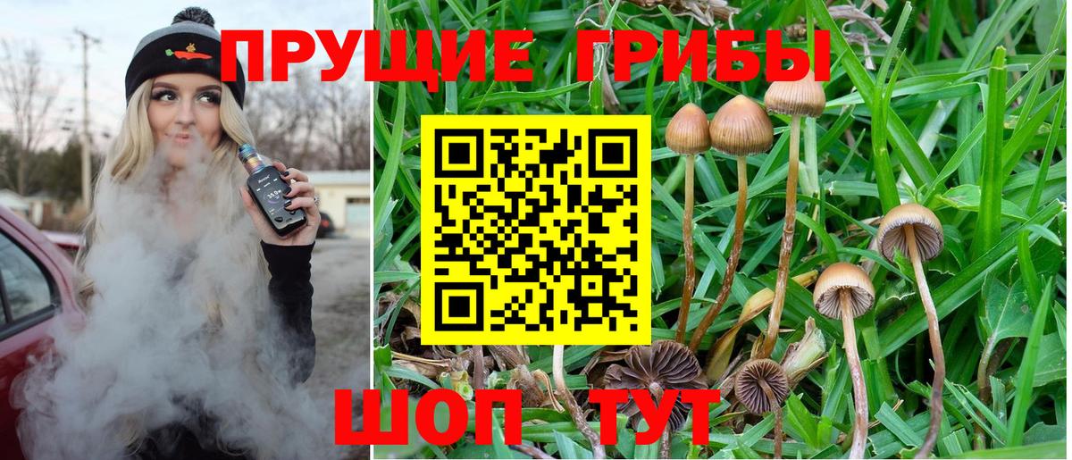 Галлюциногенные грибы Psilocybe  Вход с VPN  Прокопьевск 